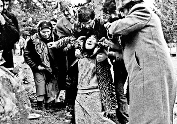 Rus tarihçiden sözde Ermeni soykırımı açıklaması! Kendileri bile doğrulayamıyor