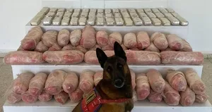 Van’da zehir tacirlerine operasyonu