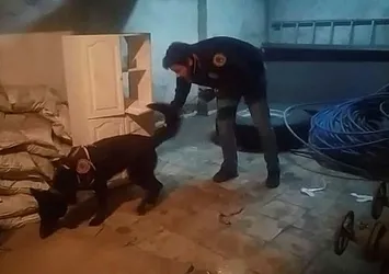 Şırnak merkezli uyuşturucu operasyonu