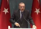 Erdoğan: Yarım düzine muhteris...