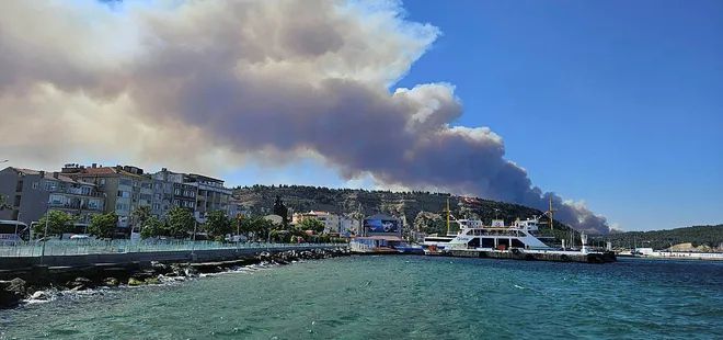 Son dakika | Çanakkale Boğazı Akbaş mevkiinde orman yangını paniği