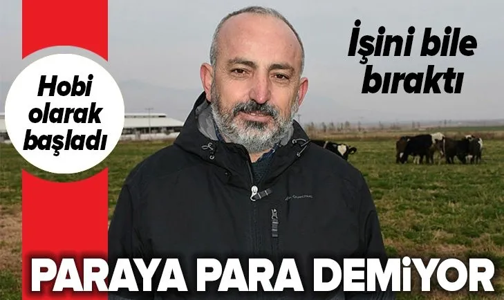 Niğdeli inşaat mühendisi müteahhitliği bıraktı hayvan çiftliği kurdu