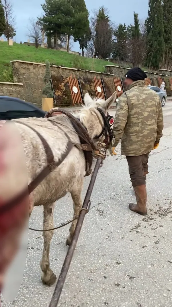 1639056543537.jpg Edirne'de skandal görüntü! Kanlar içinde kalan ata yük çektirdi - 3