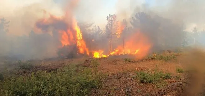 Bir haftada 105 orman yangını