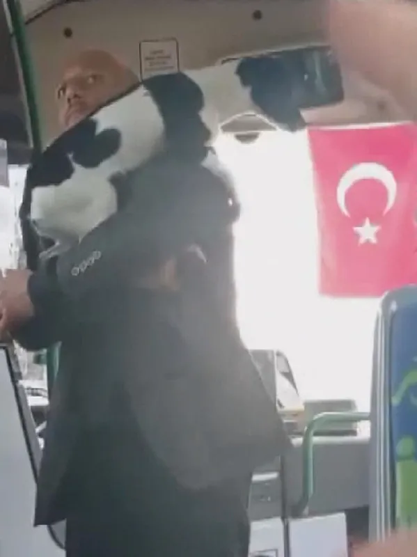 İstanbul'daki toplu taşımalarda yeni sorun! Köpekle otobüse binmeye çalışınca ortalık karıştı - 3