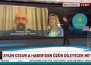 İYİ Partili vekil Aylin Cesur özür dileyecek mi?