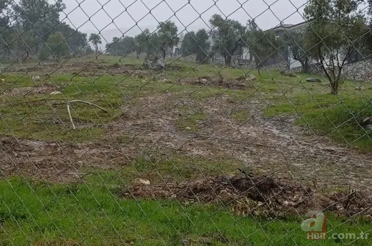 CHP’de "zeytin" ikiyüzlülüğü! Skandal sonrası istifa | Katliamın görüntüsü ortaya çıktı 11