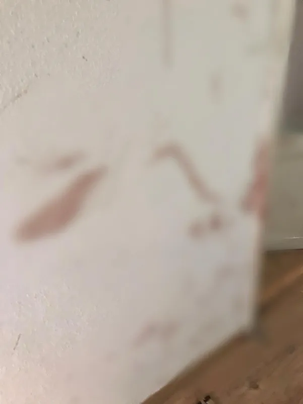 Sahte içki Bursa'dan sonra İstanbul'da da can aldı! Elleri ve yüzü kan içindeydi - 1