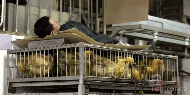 Ne bulsa yiyorlar! İşte koronavirüsün yayıldığı pazar... 18