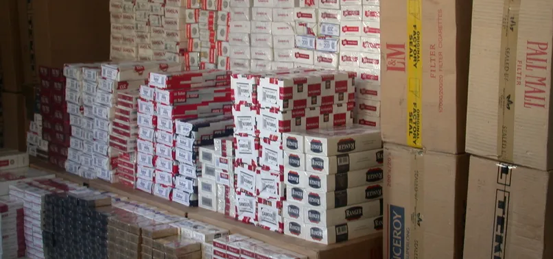Iğdır'da 24 bin paket kaçak sigara ele geçirildi