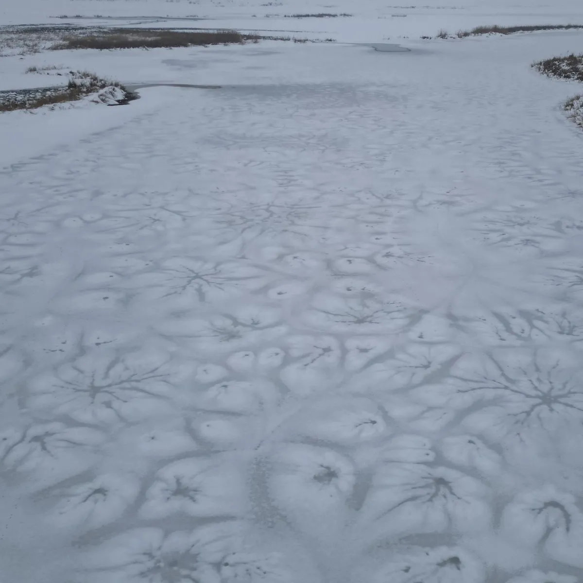 Bitlis'te tüm göller buz tuttu