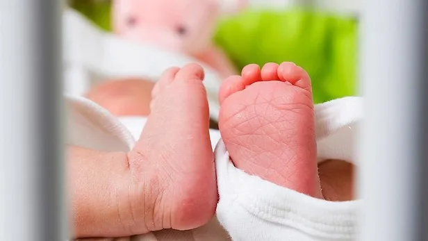 sgkdan-mujde-hesaplara-tek-seferde-12-bin-454-tl-yatiyor-odemenizi-pttden-aninda-alabilirsiniz-yilda-1-kez-ist-1671006574441.jpg Hesaplara tek seferde 12 bin 454 TL yatıyor! SGK'dan MÜJDE! Ödemenizi PTT'den anında alabilirsiniz! Yılda 1 kez... İşte şartları... - 1