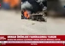 Orman ürünleri fabrikasına yangın
