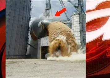 Silo çöktü! Mısırlar patladı