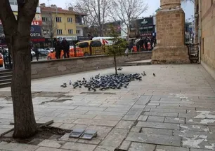 Kırşehir'de tarihi Kapucu Camii güvercinlerin yuvası oldu