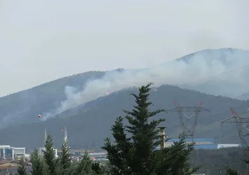 Aydos Ormanı'nda yangın çıktı