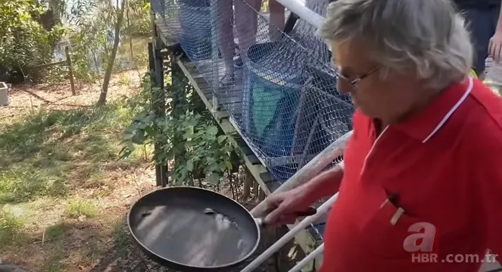 Timsahtan kızartma tavası sayesinde kurtuldu 🐊 Kendisine saldırdığı anda timsahın kafasına vurdu