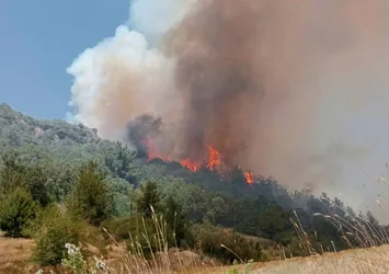 Osmaniye'de orman yangını! Havadan ve karadan anında müdahale... Yangın kontrol altına alındı