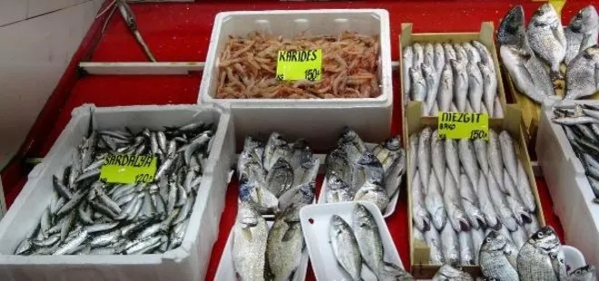 Av yasağı kalktı balıklar tezgahlara dizildi! Çanakkale’de sardalyalar mangal için hazır