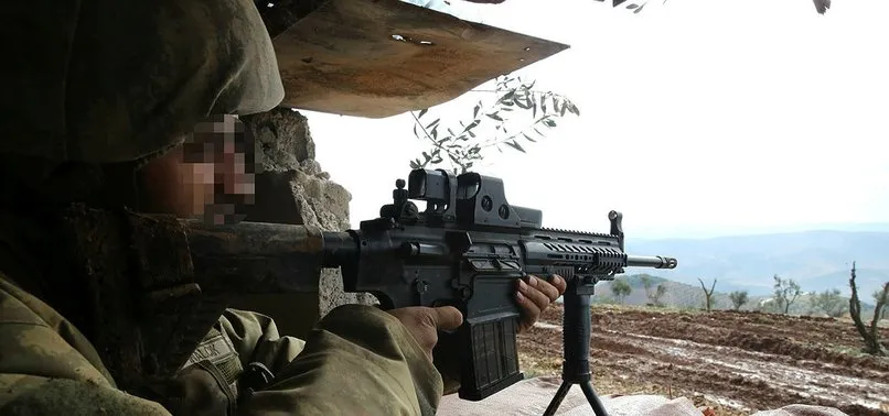 Van Gürpınar'da 4 terörist öldürüldü
