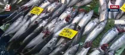 Balık tezgahlarının bereketi arttı! Balık fiyatları nasıl? Hamsi ne kadar? Fiyatlar düşecek mi? Denizlerin canavarı etkisi