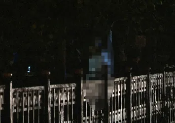 Eminönü'nde dehşete düşüren olay! Ağaca asılı halde buldular...