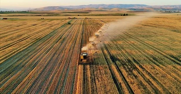 Son dakika: Tarım ve Orman Bakanı Vahit Kirişci duyurdu: 3 milyar 582 milyon TL destek hesaplarda - 2