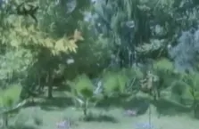 ’’Dağlar seni delik delik delerim’’