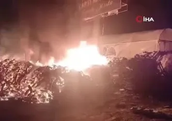 Osmaniye'de serada yangın