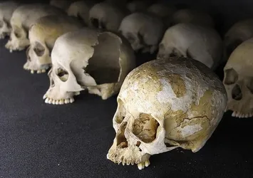 Katolik Kilisesi, Ruanda'daki soykırımda rolü nedeniyle özür diledi