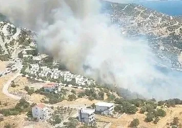 İzmir'de ormanlık alanda yangın! Çandarlı-Denizköy yolu kapatıldı | Alevler kontrol altında