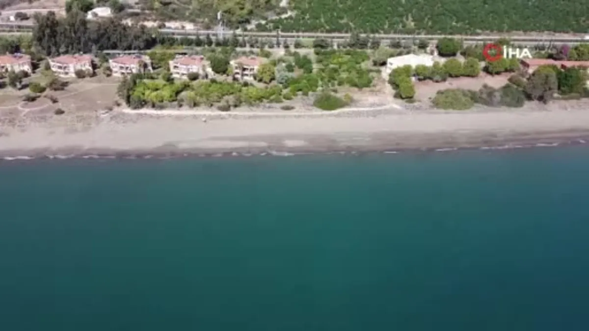 Çıkışlar tamamlandı son yavrular denizde