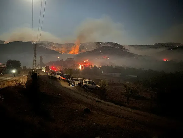 Bakan Bekir Pakdemirli’den Ankara Nallıhan’daki yangınla ilgili açıklama