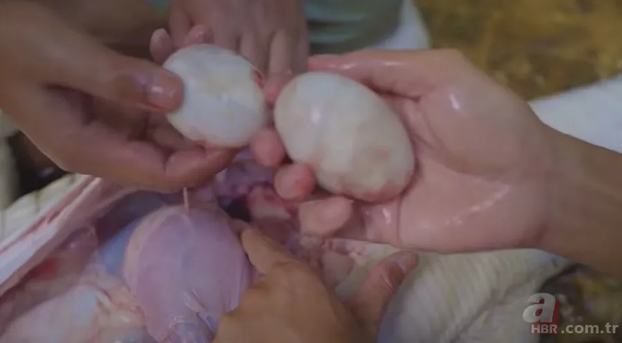 Hayatta kalmak için avladıkları timsahın karnından çıkanlar şoke etti! Mide bulandıran görüntü 22