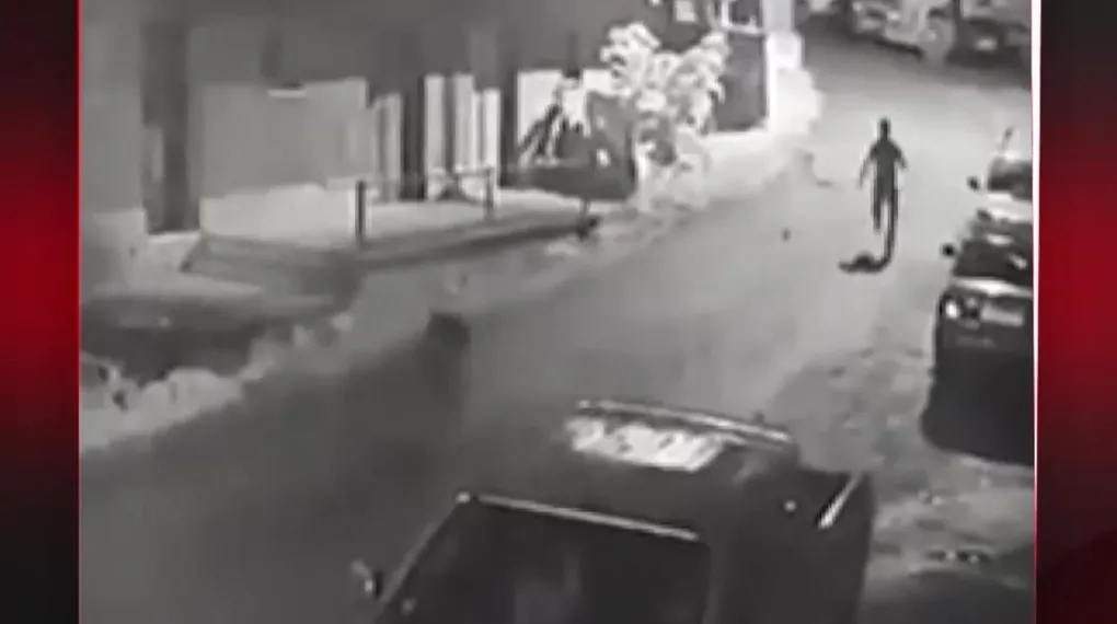 CANINI ZOR KURTARDI