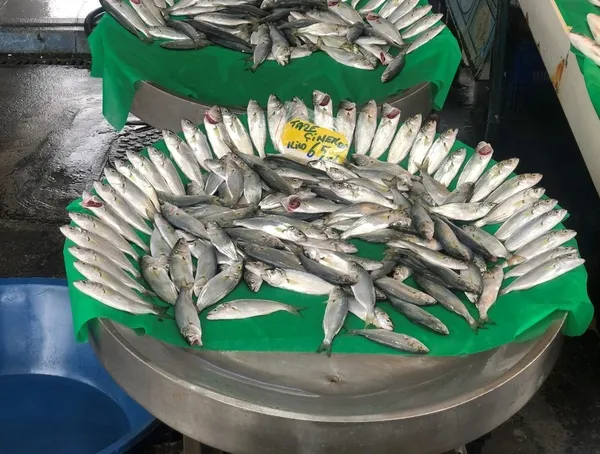 İstanbul’da balık tezgahlarında fırtına etkisi! 30 TL’ye çıktı