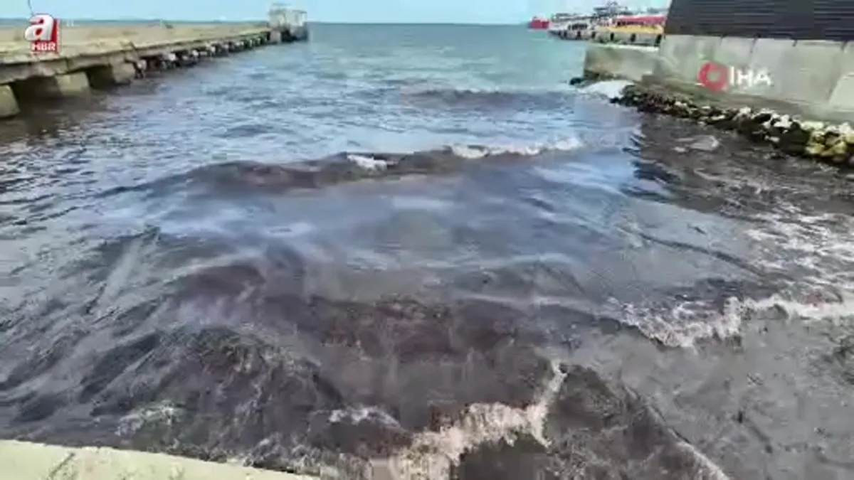 Poyraz kızıl yosun getirdi