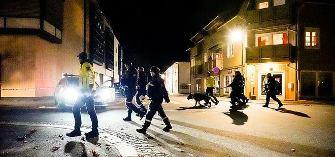 Norveç’teki oklu saldırıda flaş iddia! Espen Andersen Brathen’in akıl sağlığı yerinde değil