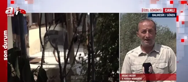 Doberman cinsi eğitimli köpek Tina eve döndü! Kayıp ekonomist Berzeg’in köpeğini A Haber görüntüledi