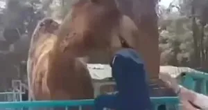 Hayvanat bahçesinde hayatının şokunu yaşadı