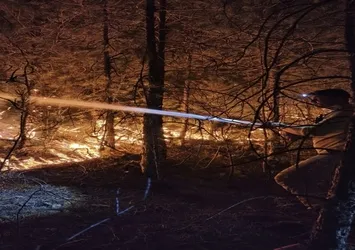 Balıkesir’de orman yangınına müdahale sürüyor!