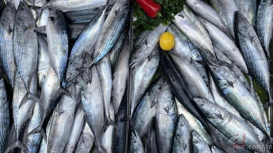 Sezonu açıldı: Hangi ayda hangi balık yenir? Ekim ayında yenilmesi gereken balıklar 2