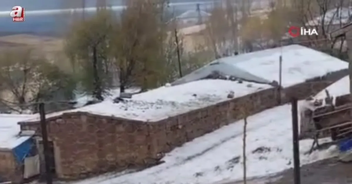 Bitlis’in Ahlat ilçesi beyaza büründü