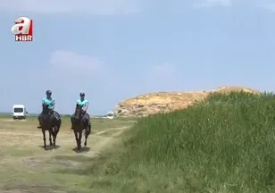 Dönemeç sazlıkları gözetim altında