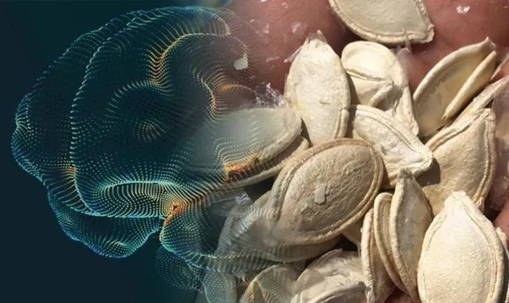 Evinizden eksik etmeyin! Alzheimer ve Parkinson’a meydan okuyor...