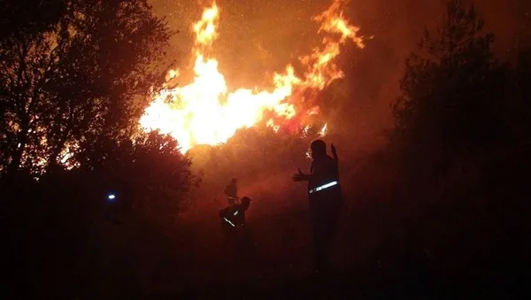 1649252181021.jpg 10 bin liraya doğayı yok etti! PKK'nın orman yangını çıkarma talimatını böyle itiraf etti - 5