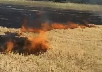 Beyşehir'de korkutan ev yangını