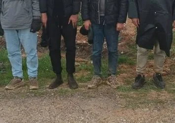 Edirne'de 14 düzensiz göçmen yakalandı