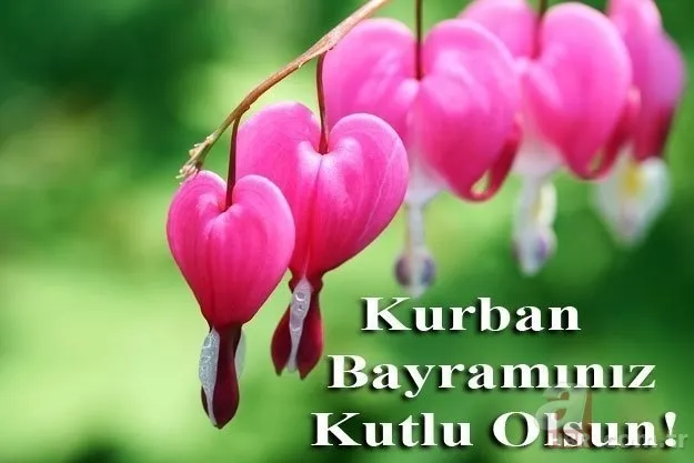 Kurban Bayramı sözleri kısa uzun! | Anlamlı farklı Resimli Kurban Bayramı mesajları sözleri için tıklayınız! 3