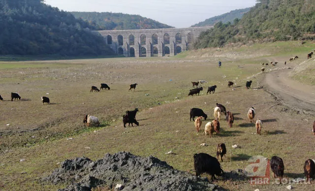 Ankara'da barajlar alarm veriyor: 4 aylık su kaldı! İstanbul'da ise doluluk oranı yüzde 41.44'e geriledi 17